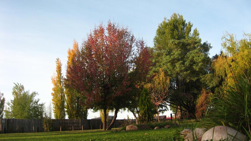 Posada Del Viajero San Rafael Eksteriør billede