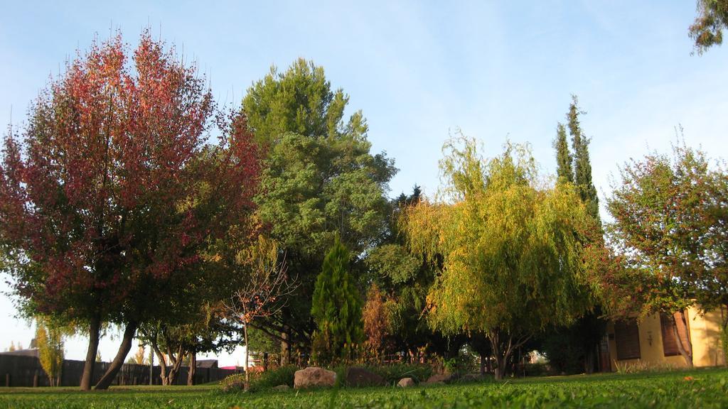 Posada Del Viajero San Rafael Eksteriør billede