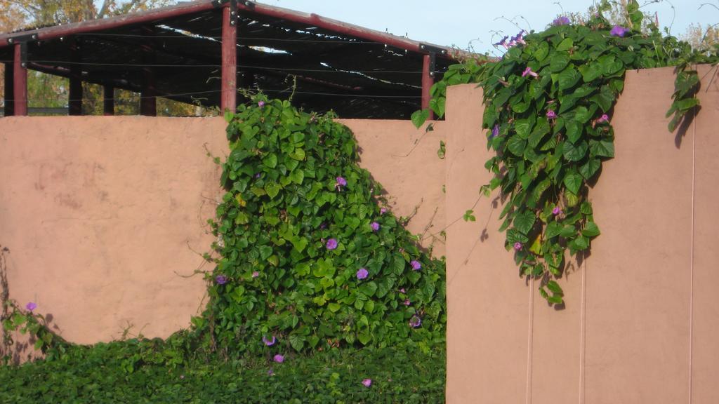 Posada Del Viajero San Rafael Eksteriør billede