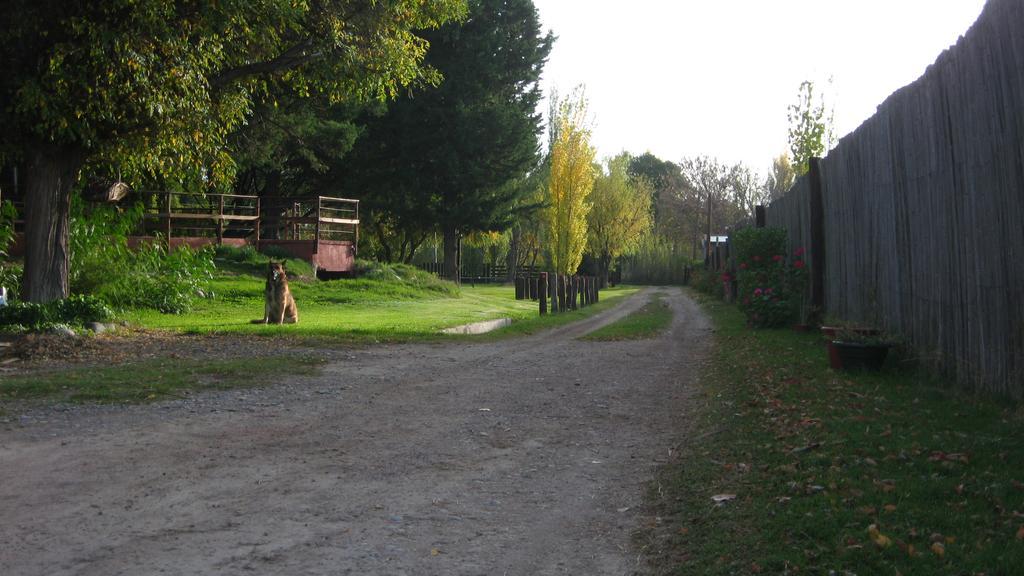 Posada Del Viajero San Rafael Eksteriør billede
